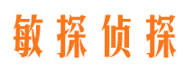 费县敏探私家侦探公司